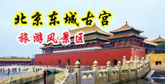 美女把自己的逼给男生中国北京-东城古宫旅游风景区